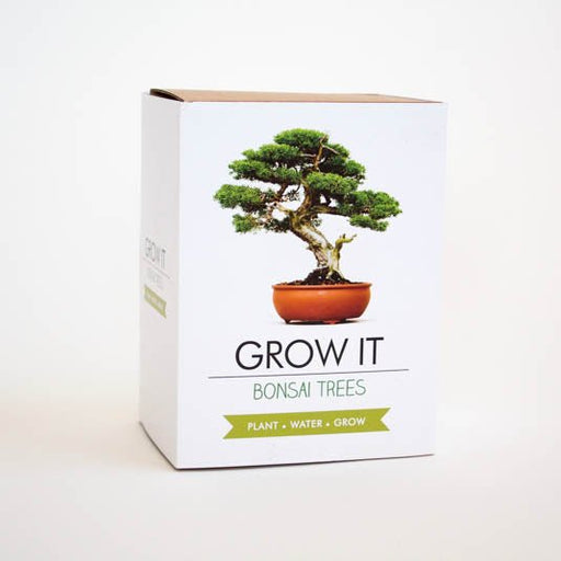 Grow It - Bonsai Trees - Something Different Gift Shop