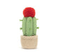 Jellycat Amuseable Moon Cactus - Something Different Gift Shop