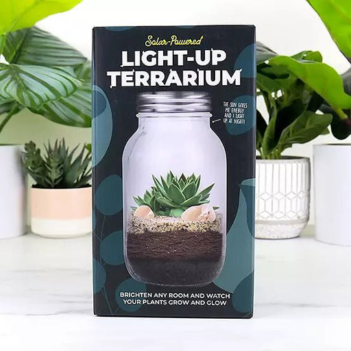 Light-up Terrarium - Something Different Gift Shop