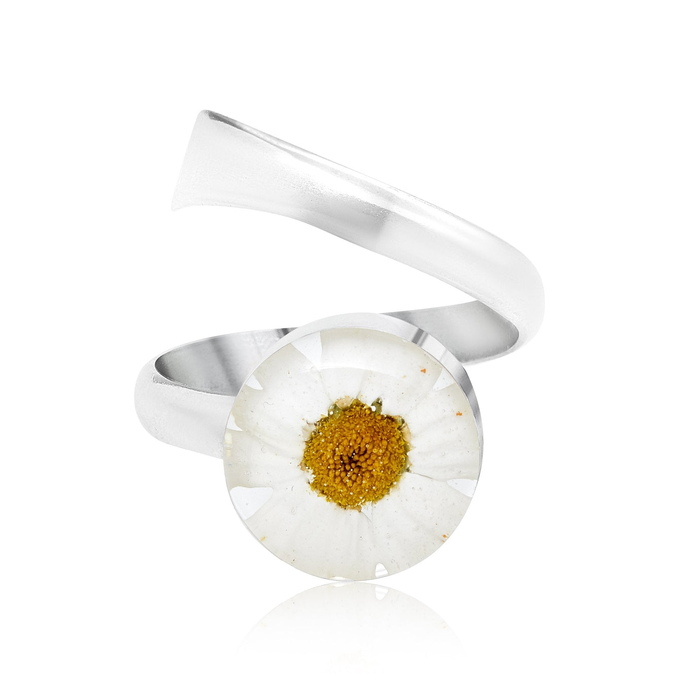 Daisy Collection - Something Different Gift Shop