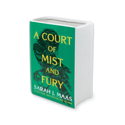 A Court of Mist and Fury ceramic book-shaped vase with green ACOTAR cover design