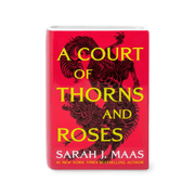 A Court of Thorns and Roses large ceramic book vase with red Sarah J Maas cover