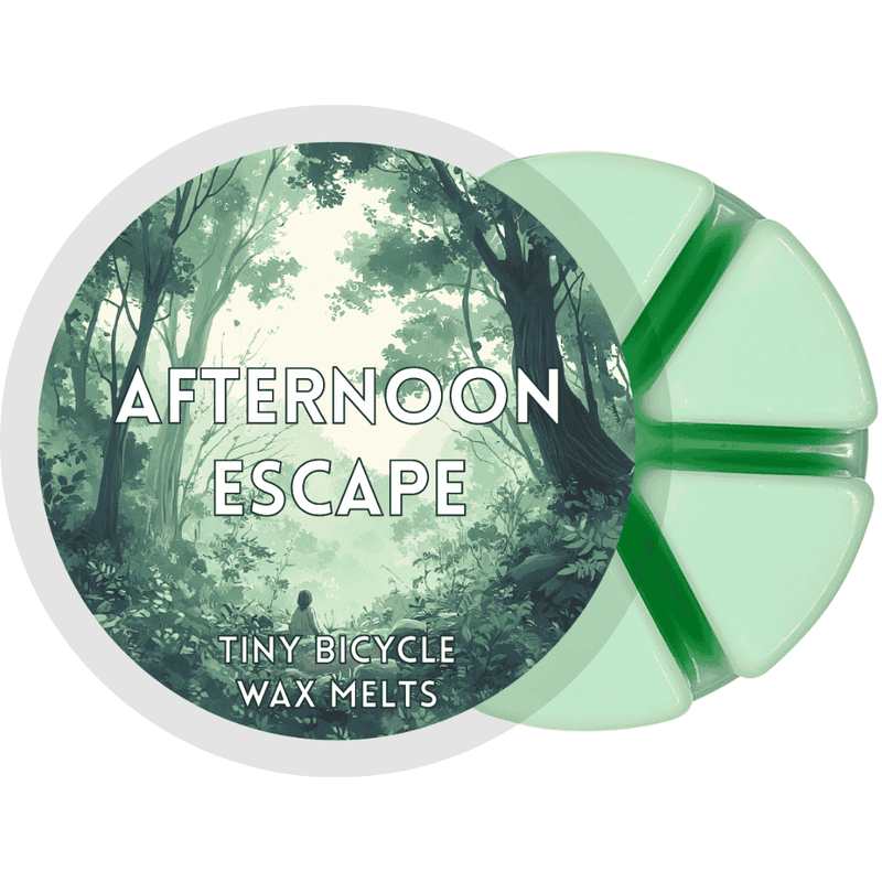 Afternoon Escape Segment Wax Melt - Something Different Gift Shop