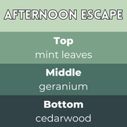 Afternoon Escape Segment Wax Melt - Something Different Gift Shop