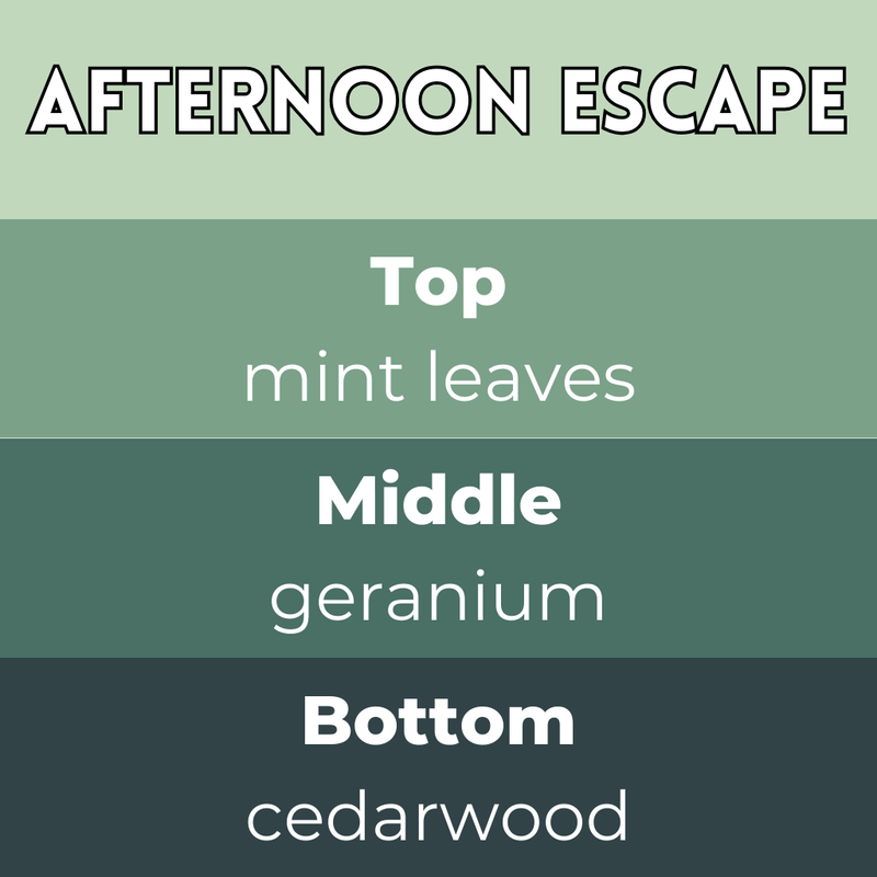 Afternoon Escape Segment Wax Melt - Something Different Gift Shop