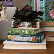 Alice in Wonderland Ceramic Book Vase Stack – Floral Classics Trio - Something Different Gift Shop