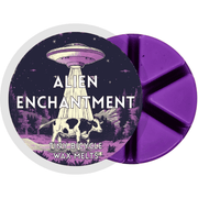 Alien Enchantment Segment Wax Melt - Something Different Gift Shop