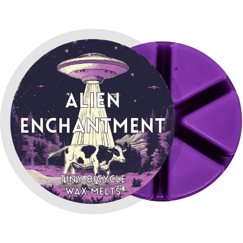 Alien Enchantment Segment Wax Melt - Something Different Gift Shop