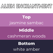 Alien Enchantment Segment Wax Melt - Something Different Gift Shop