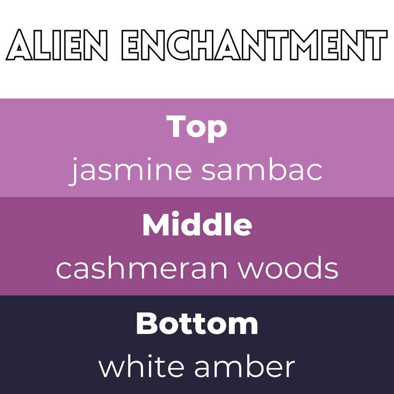 Alien Enchantment Segment Wax Melt - Something Different Gift Shop