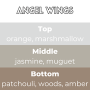 Angel Wings Segment Wax Melt - Something Different Gift Shop