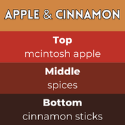 Apple & Cinnamon Segment Wax Melt - Something Different Gift Shop