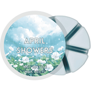 April Showers Segment Wax Melt - Something Different Gift Shop