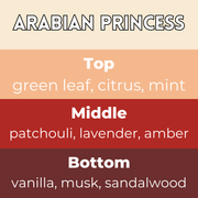 Arabian Princess Segment Wax Melt - Something Different Gift Shop