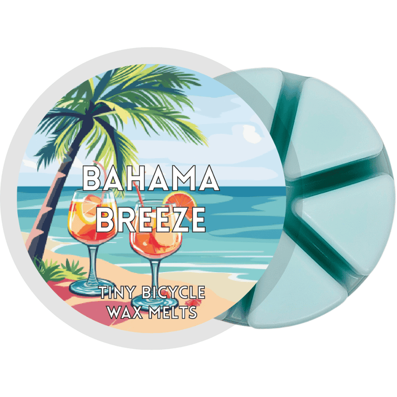 Bahama Breeze Segment Wax Melt - Something Different Gift Shop