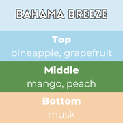 Bahama Breeze Segment Wax Melt - Something Different Gift Shop