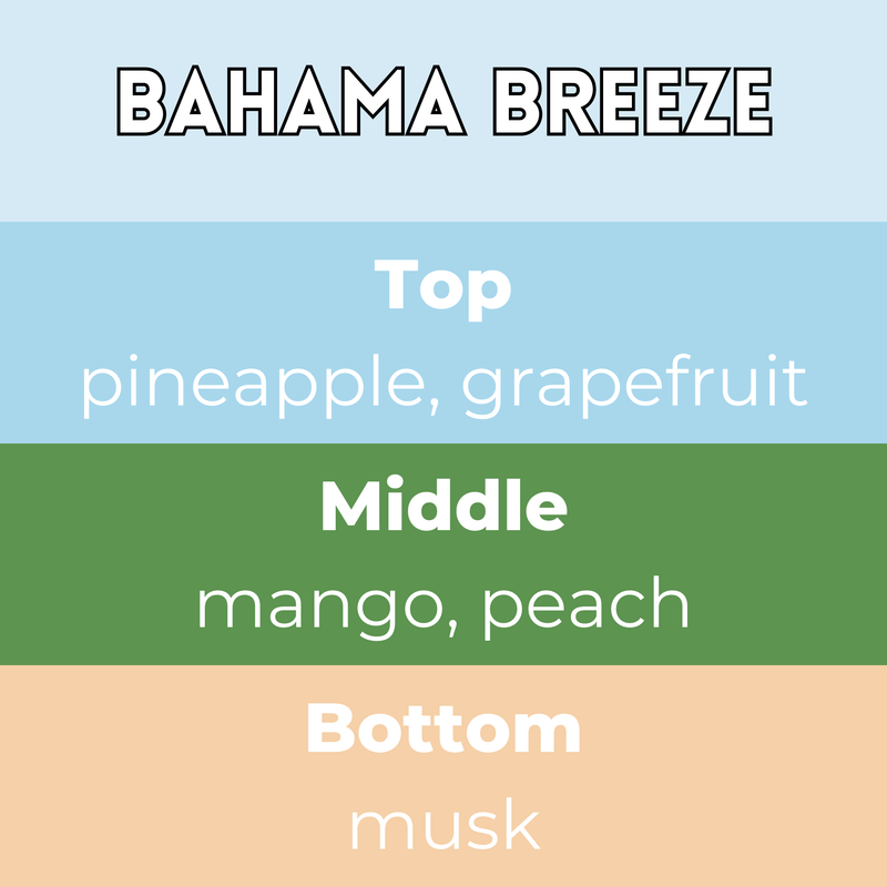 Bahama Breeze Segment Wax Melt - Something Different Gift Shop