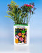 ban.do Wildflower Seeds Ceramic Vase - Something Different Gift Shop