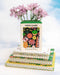 ban.do Wildflower Seeds Ceramic Vase - Something Different Gift Shop