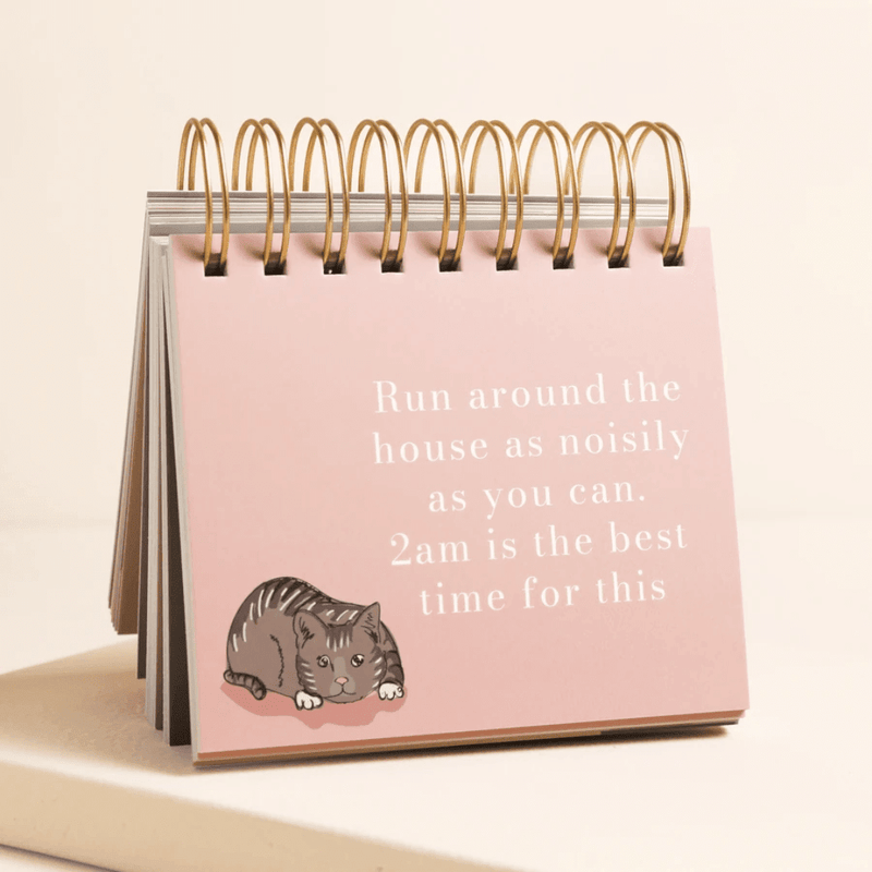 Be More Cat desktop flip chart on a stand showing a pink page with a funny cat quote about running around the house at 2am.