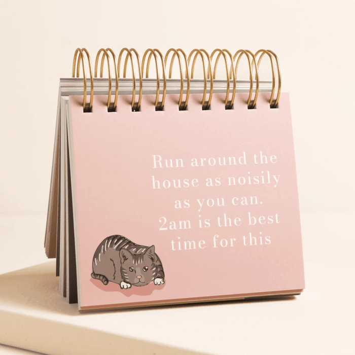 Be More Cat desktop flip chart on a stand showing a pink page with a funny cat quote about running around the house at 2am.