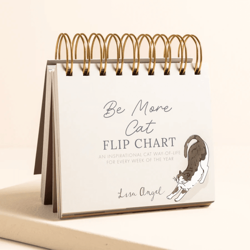 Front cover of Be More Cat desktop flip chart with gold spiral binding and illustrated stretching cat.