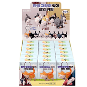 Best Friend Cat Figure Collectable Keyring Random Box retail display box filled with individual mystery boxes