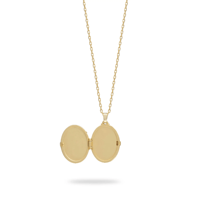 Bill Skinner Blackberry & Mouse Cameo Locket Necklace open