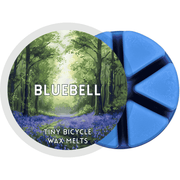 Bluebell Segment Wax Melt - Something Different Gift Shop