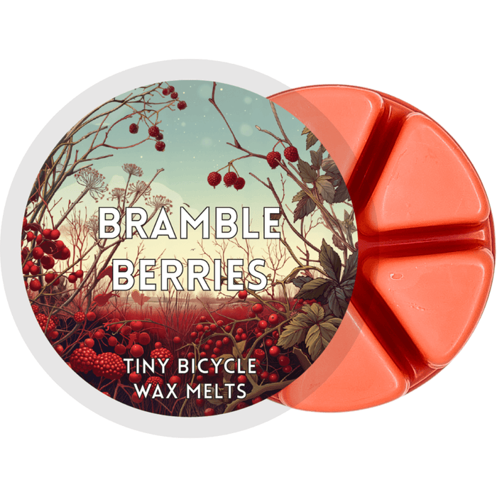 Bramble Berries segmented coral wax melt pot with illustrated autumn hedgerow berries