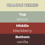 Bramble Berries wax melt scent card with lemon top note, blackberry middle note and vanilla base on berry toned colour blocks