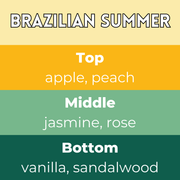 Brazilian Summer Segment Wax Melt - Something Different Gift Shop