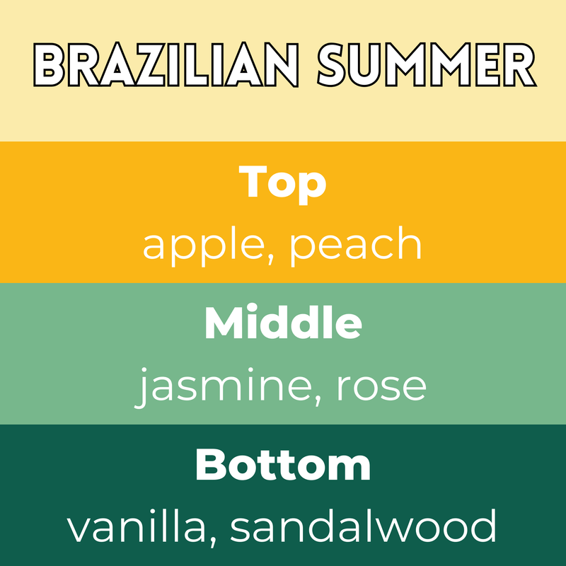Brazilian Summer Segment Wax Melt - Something Different Gift Shop