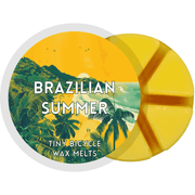 Brazilian Summer Segment Wax Melt - Something Different Gift Shop