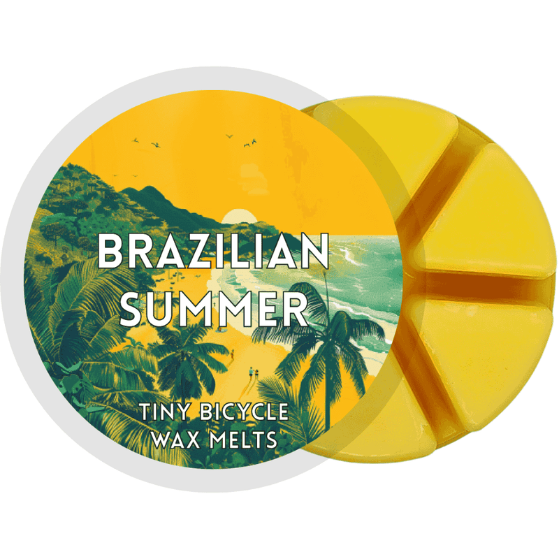 Brazilian Summer Segment Wax Melt - Something Different Gift Shop