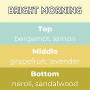 Bright Morning Segment Wax Melt - Something Different Gift Shop
