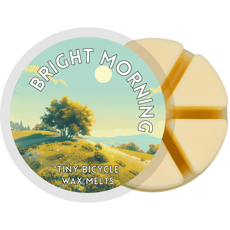 Bright Morning Segment Wax Melt - Something Different Gift Shop