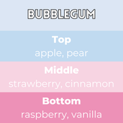 Bubblegum Segment Wax Melt - Something Different Gift Shop