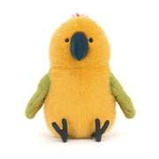 Budgeby Parrot - Something Different Gift Shop