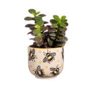 Busy Bees Small Planter - Something Different Gift Shop
