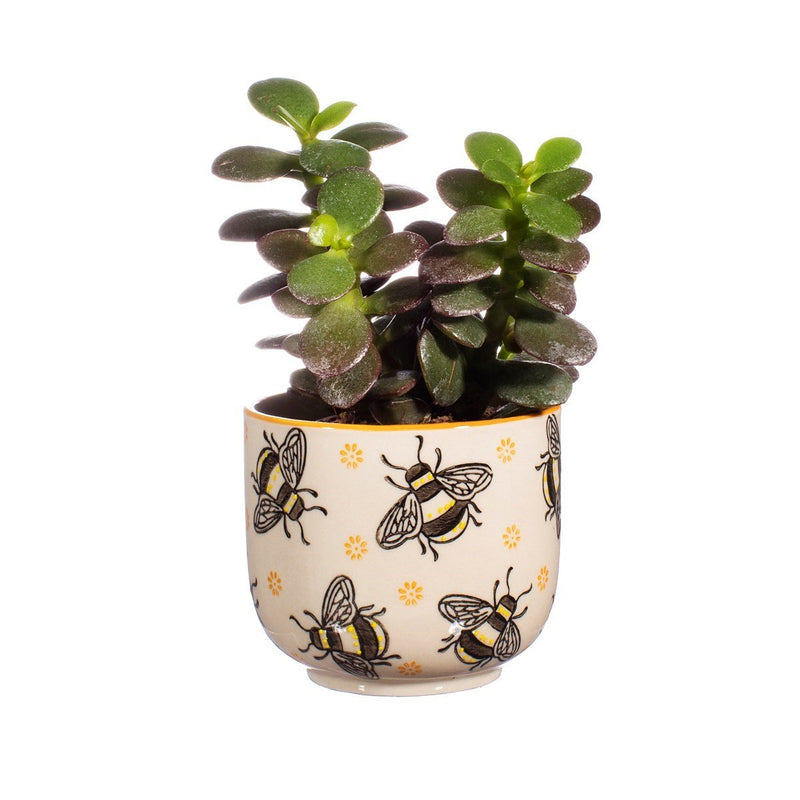 Busy Bees Small Planter - Something Different Gift Shop