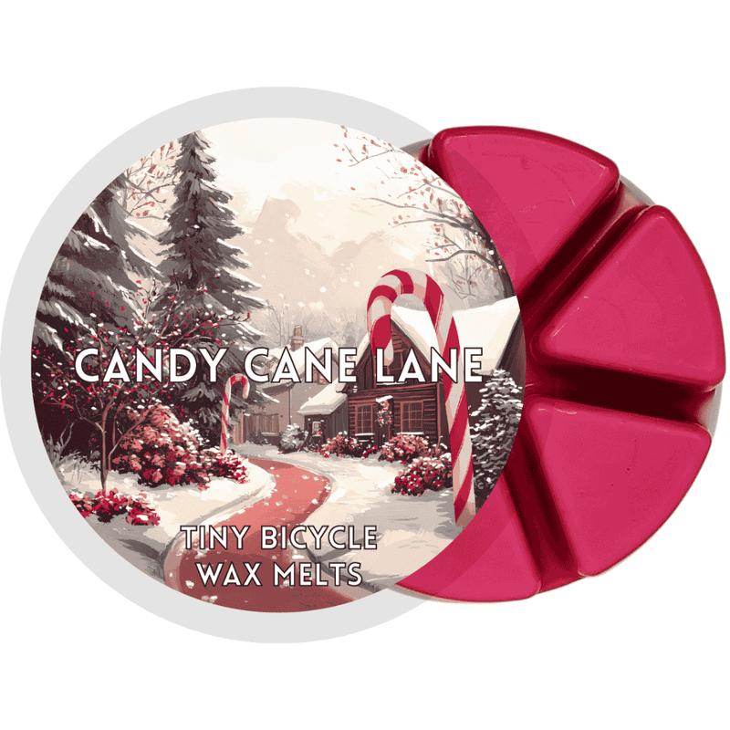 Candy Cane Lane Segment Wax Melt - Something Different Gift Shop