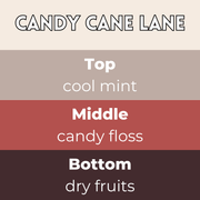Candy Cane Lane Segment Wax Melt - Something Different Gift Shop