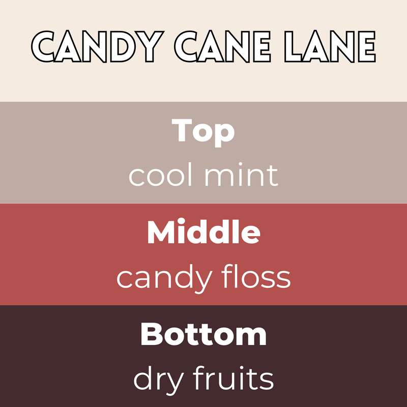 Candy Cane Lane Segment Wax Melt - Something Different Gift Shop