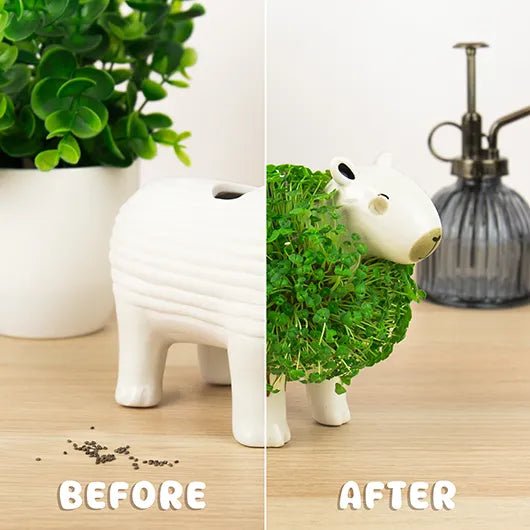 Before and after view of capybara chia planter showing bare ceramic body and full green chia coat