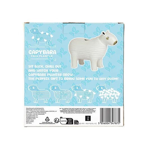 Back of capybara chia planter gift box showing instructions and illustrations