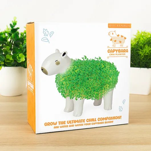Capybara chia planter gift box on desk with illustrated leafy design and slogan grow the ultimate chill companion