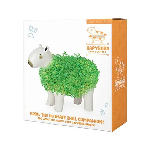 Front view of capybara chia planter gift box packaging on white background