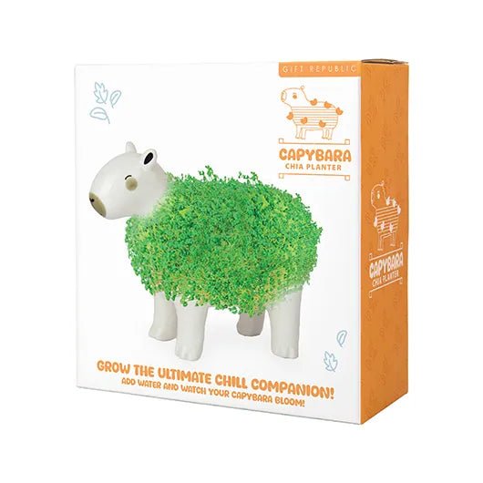 Front view of capybara chia planter gift box packaging on white background