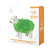 Front view of capybara chia planter gift box packaging on white background